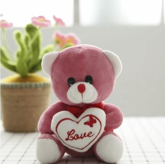 Love Quote Soft Teddy for baby